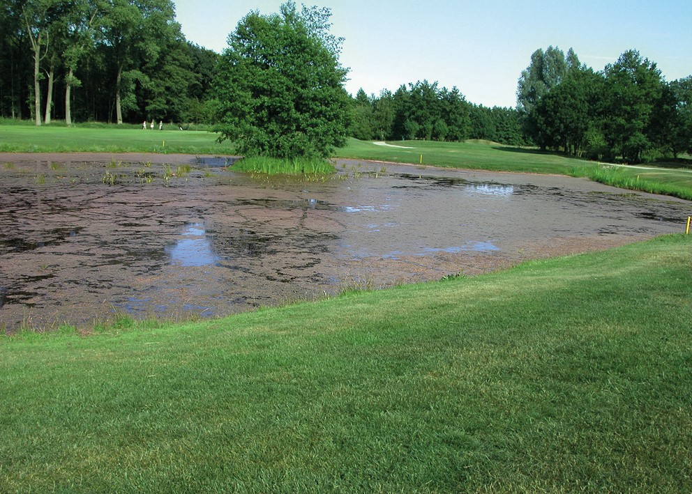Lac avant traitement