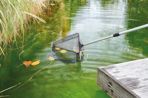nettoyage de bassin