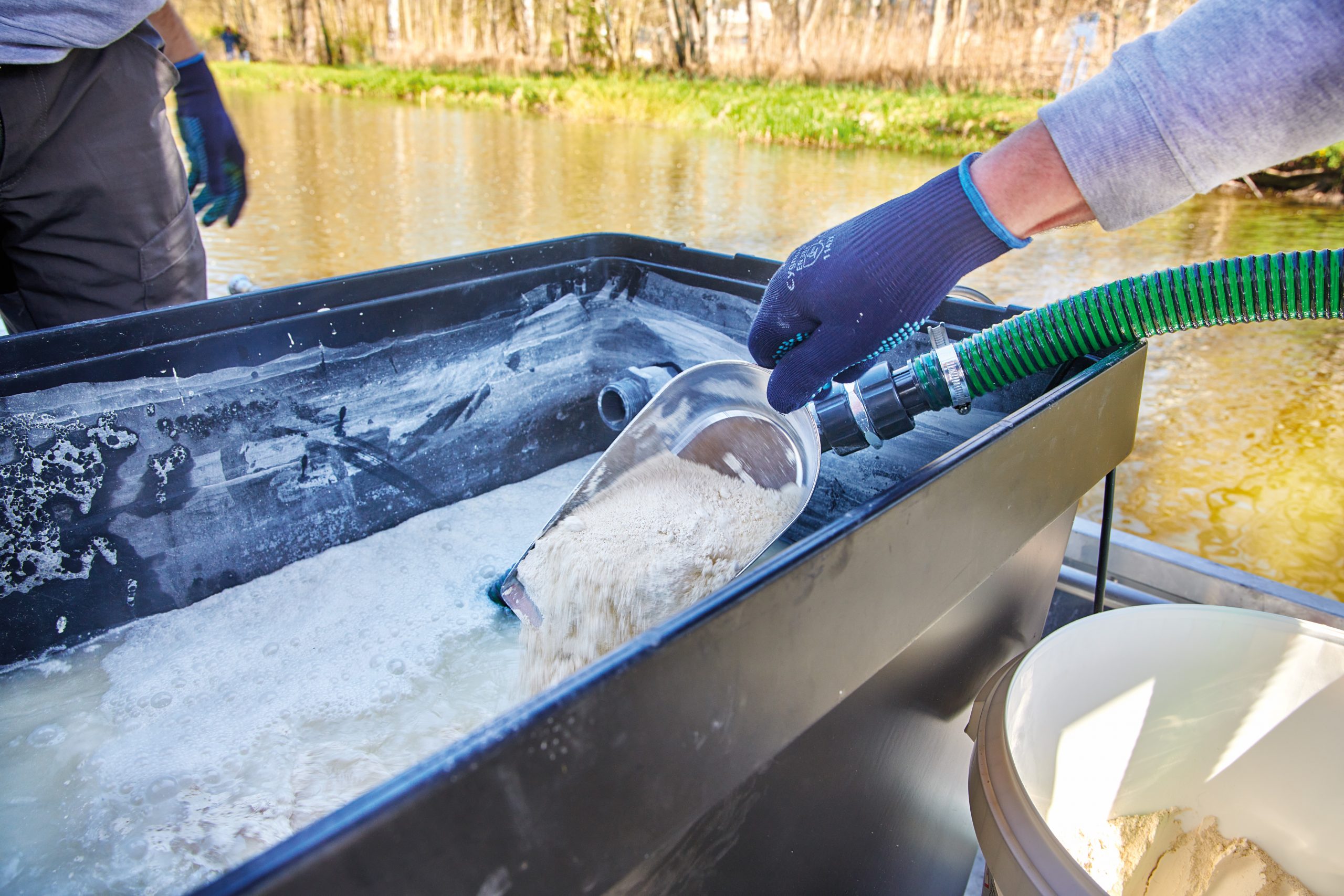 Produit naturelle en poudre pour traitement de lac