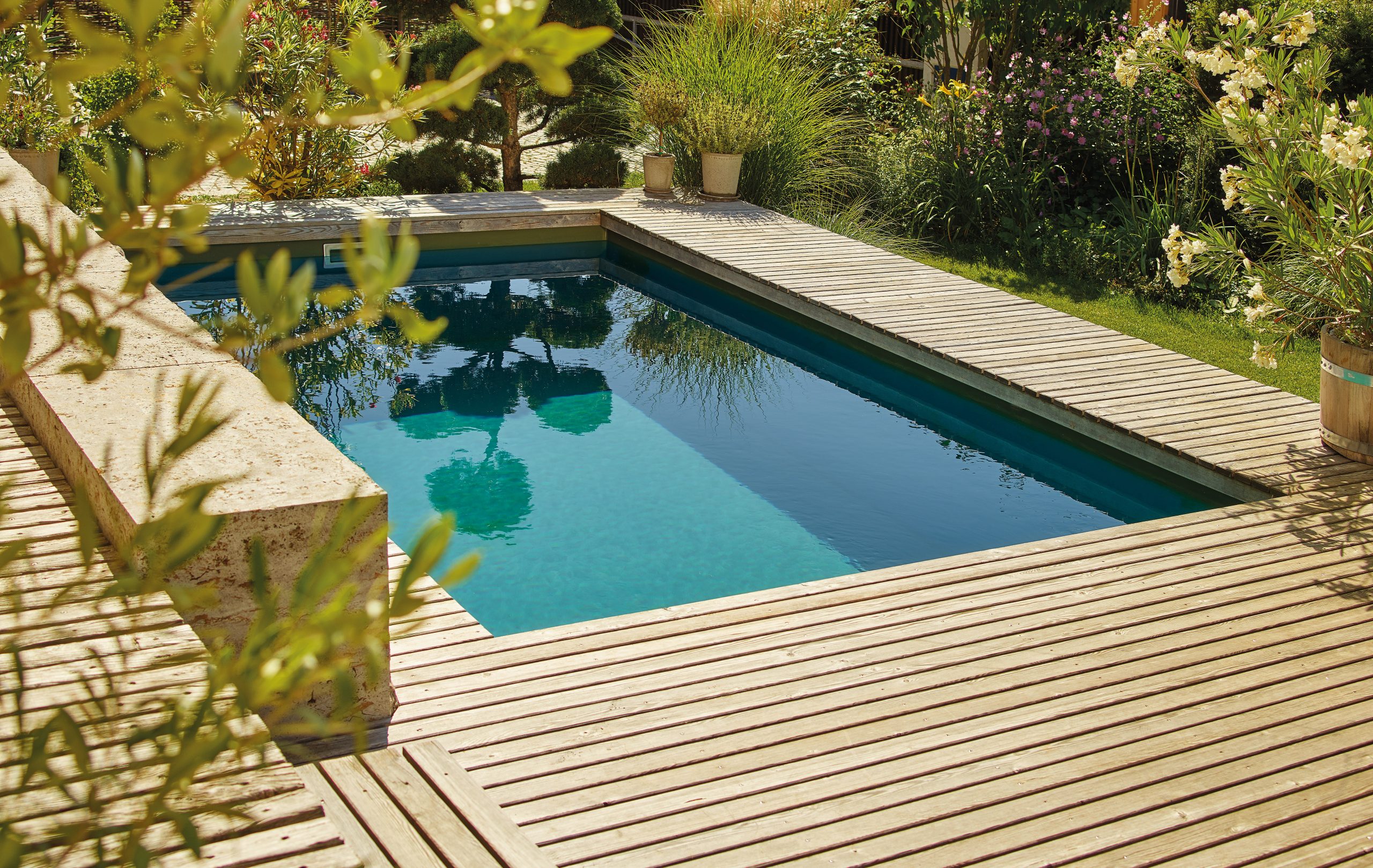 bassin de baignade piscine naturelle plate lagune terrasse en bois