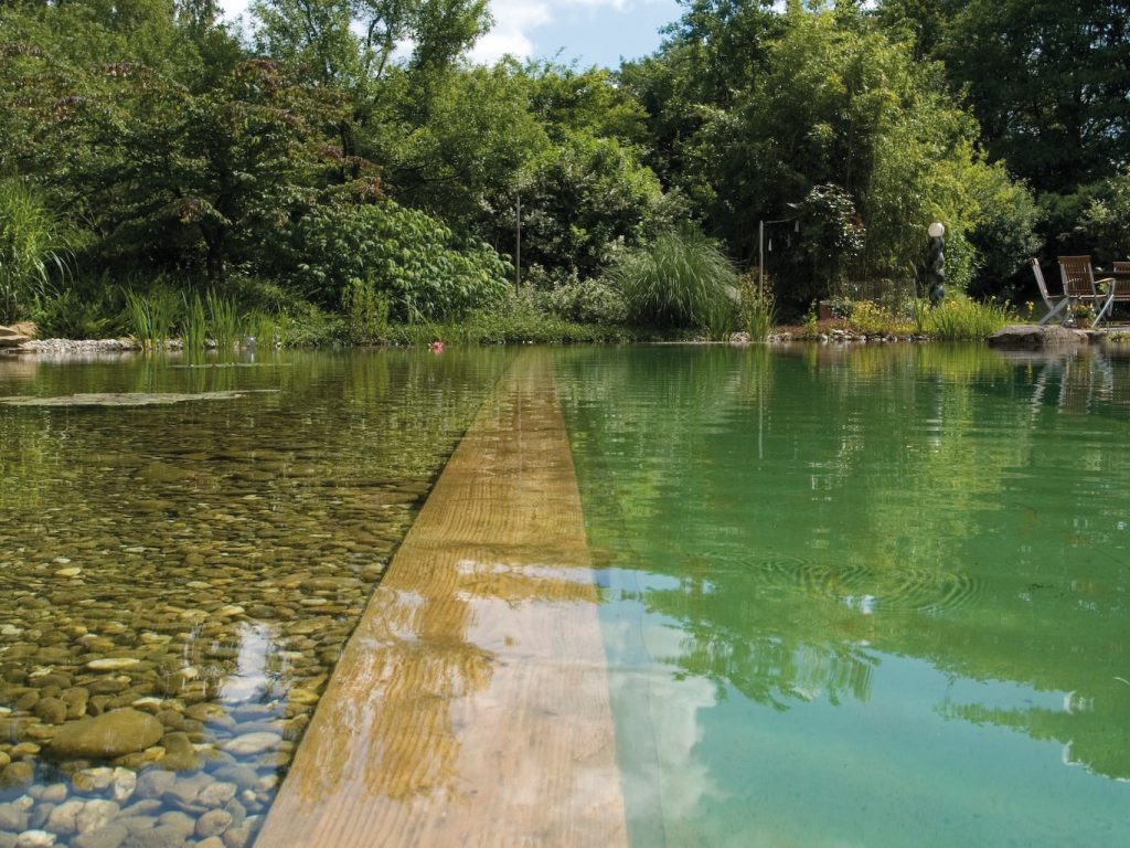 bassin de baignade piscine naturelle plate lagune terrasse en bois