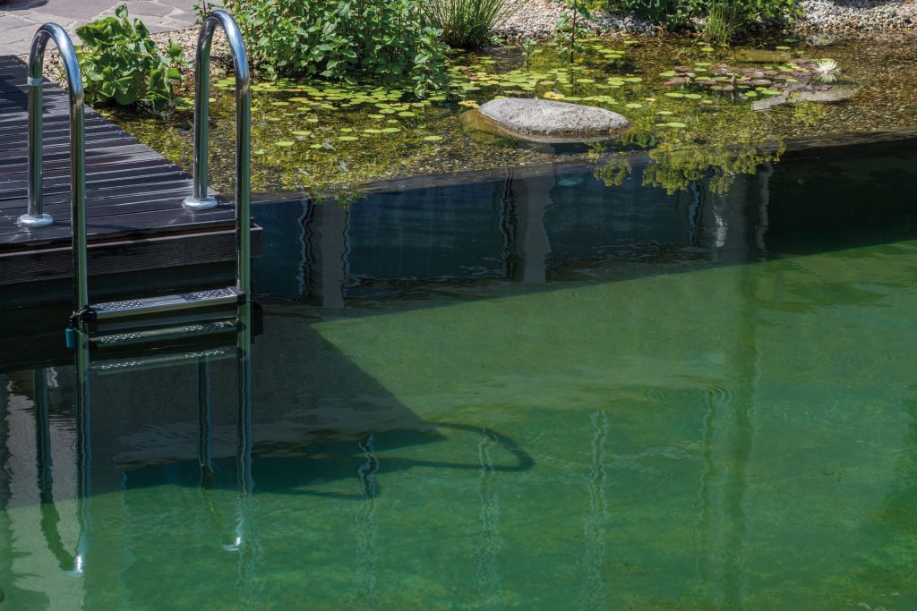 bassin de baignade piscine naturelle plate lagune terrasse en bois echelle