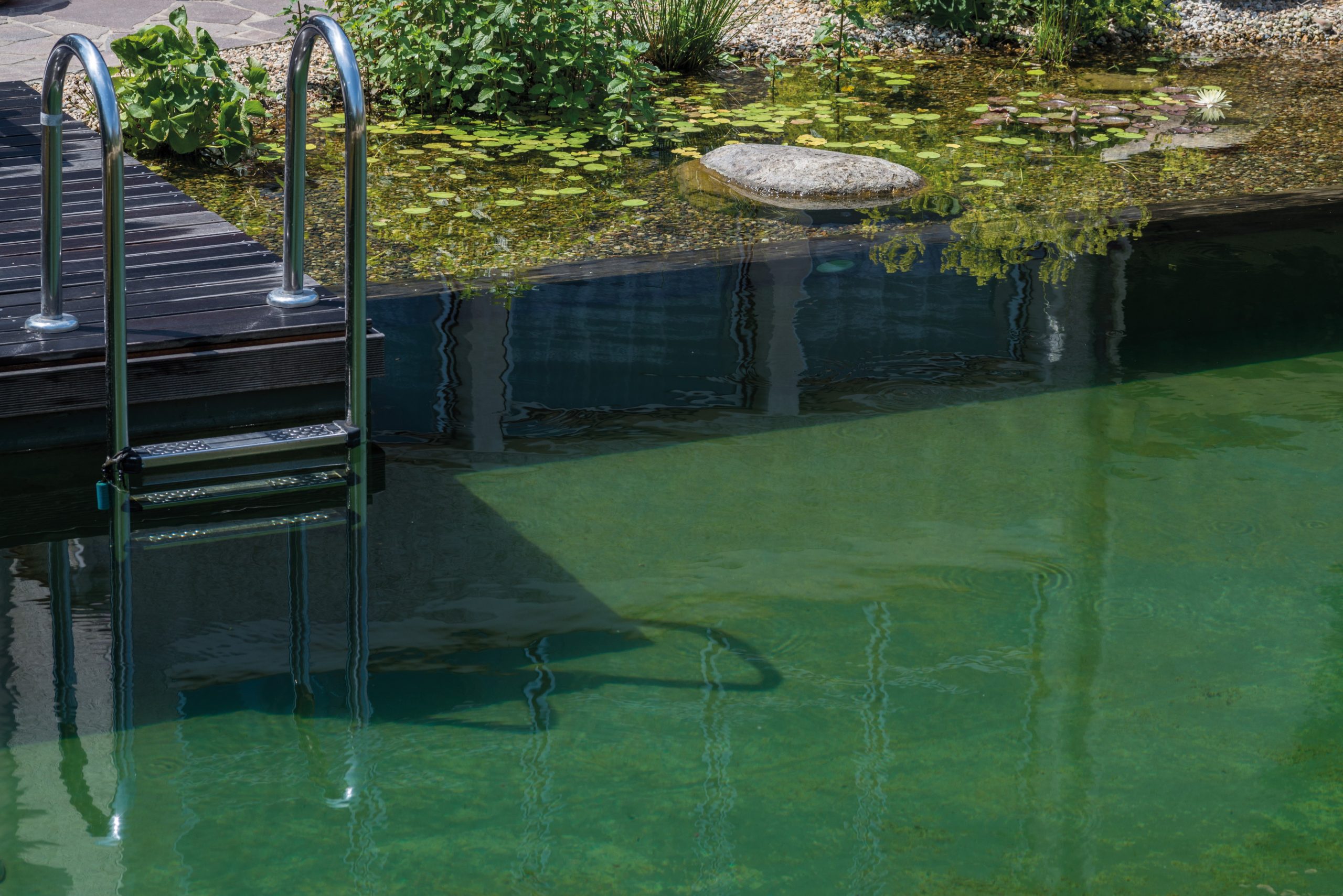 bassin de baignade piscine naturelle plate lagune terrasse en bois echelle