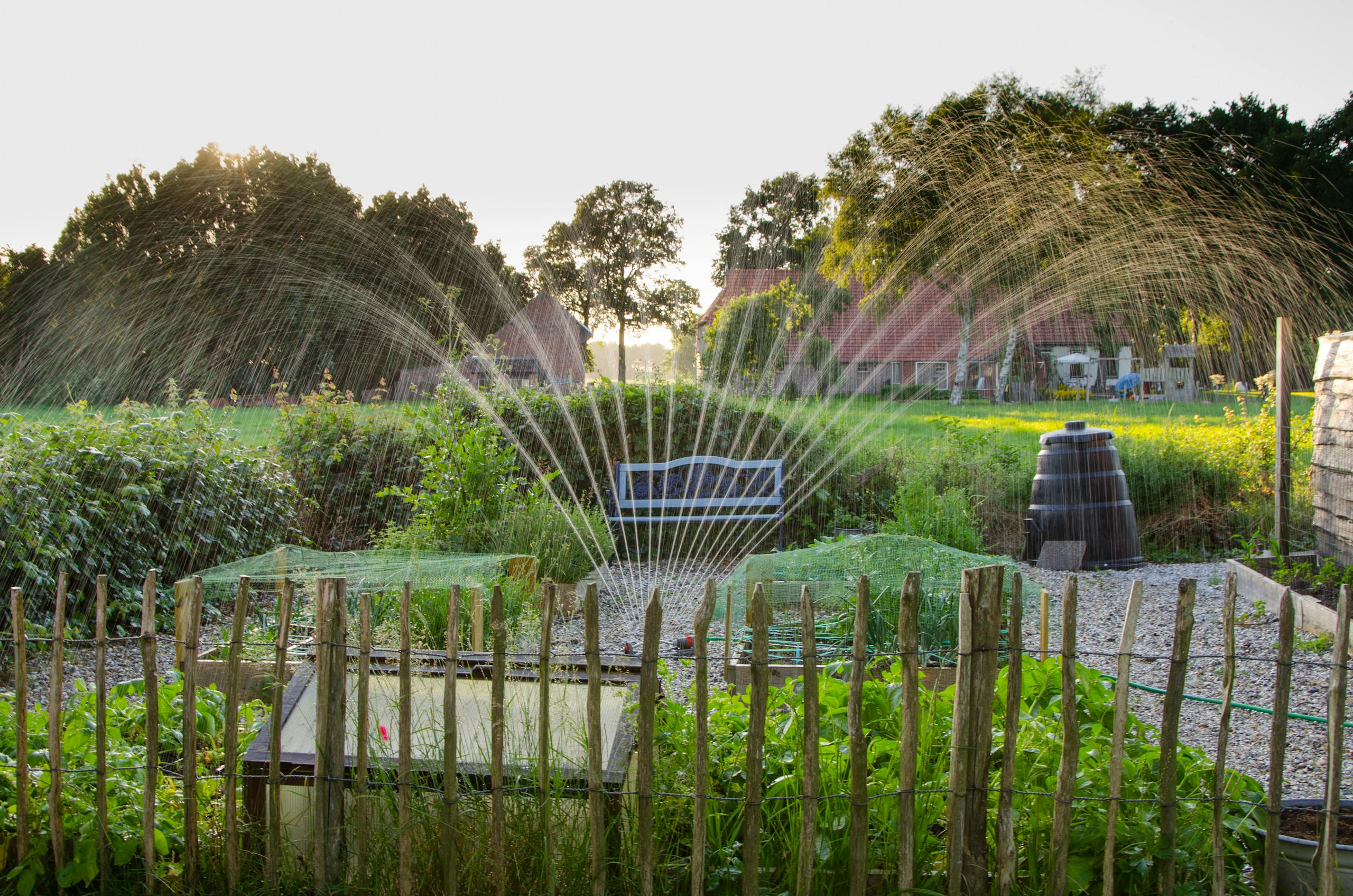Arrosage d'un jardin avec de l'eau de récupération