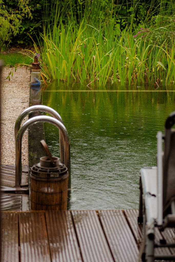 Piscine naturelle sous la pluie avec un vue sur un échelle et le lagunage A serene view of a natural swimming pool surrounded by greenery, featuring a wooden pier and metal ladder on a rainy day.