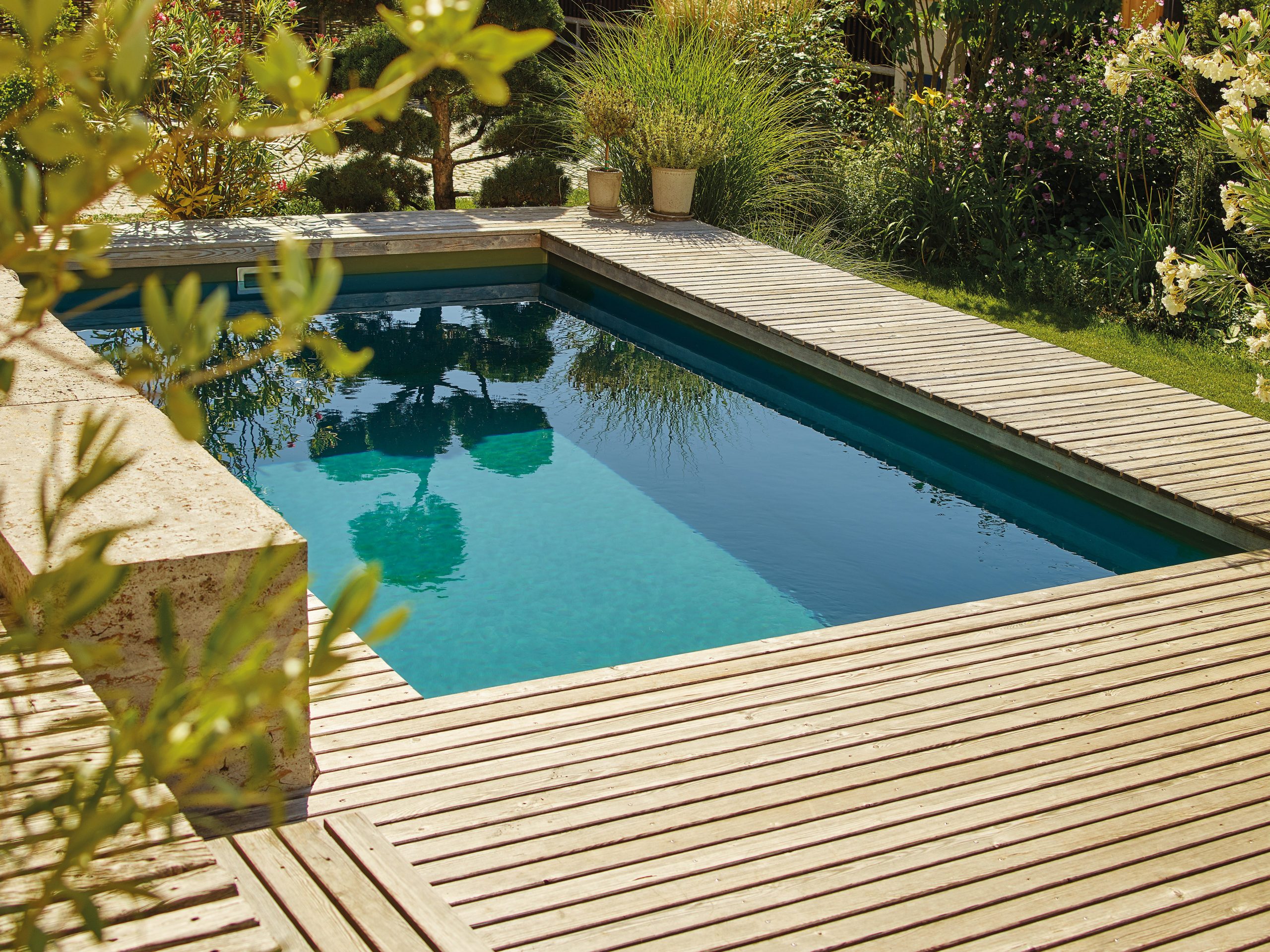 bassin de baignade piscine naturelle plate lagune terrasse en bois