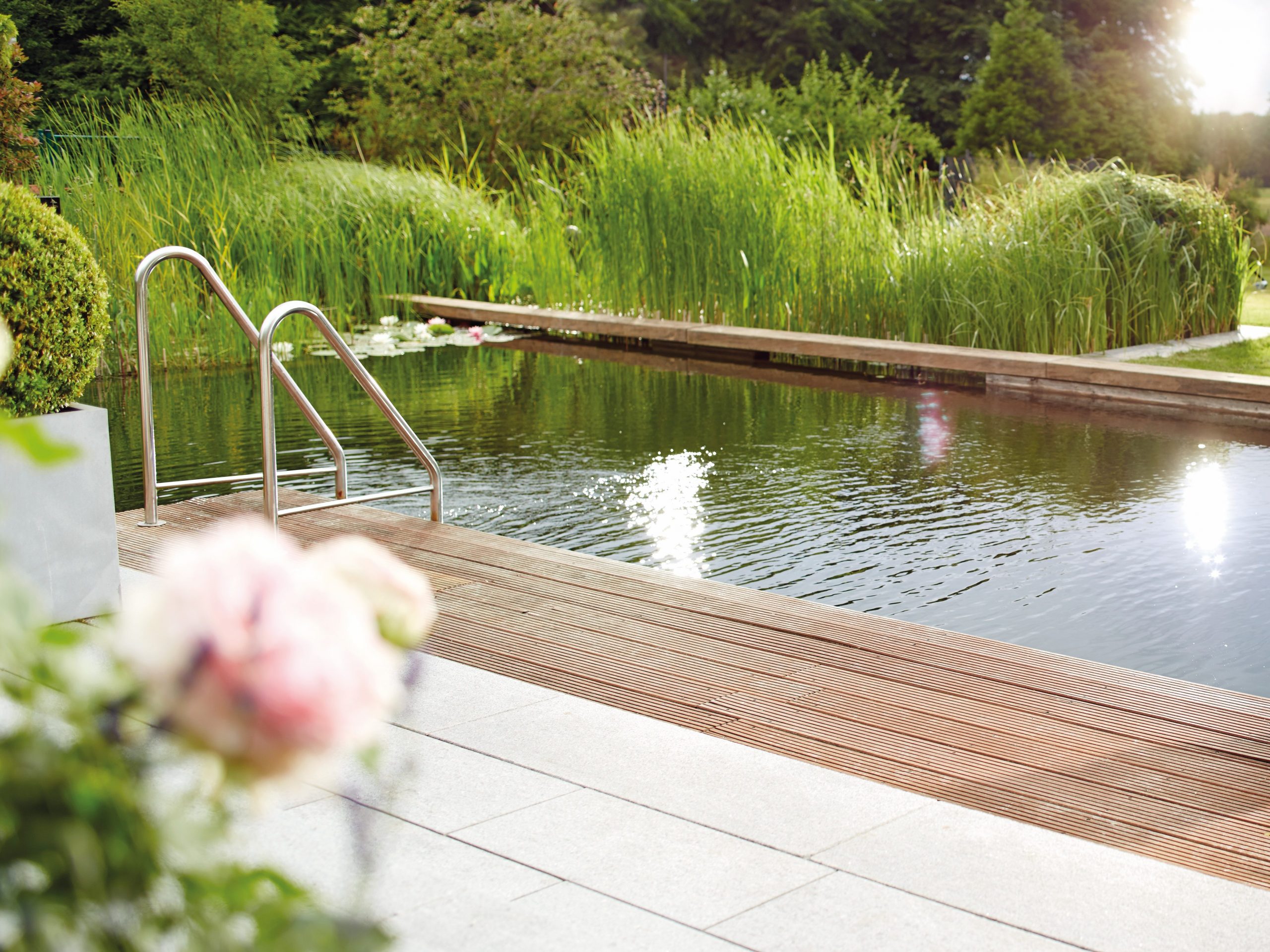 bassin de baignade piscine naturelle plate lagune terrasse en bois