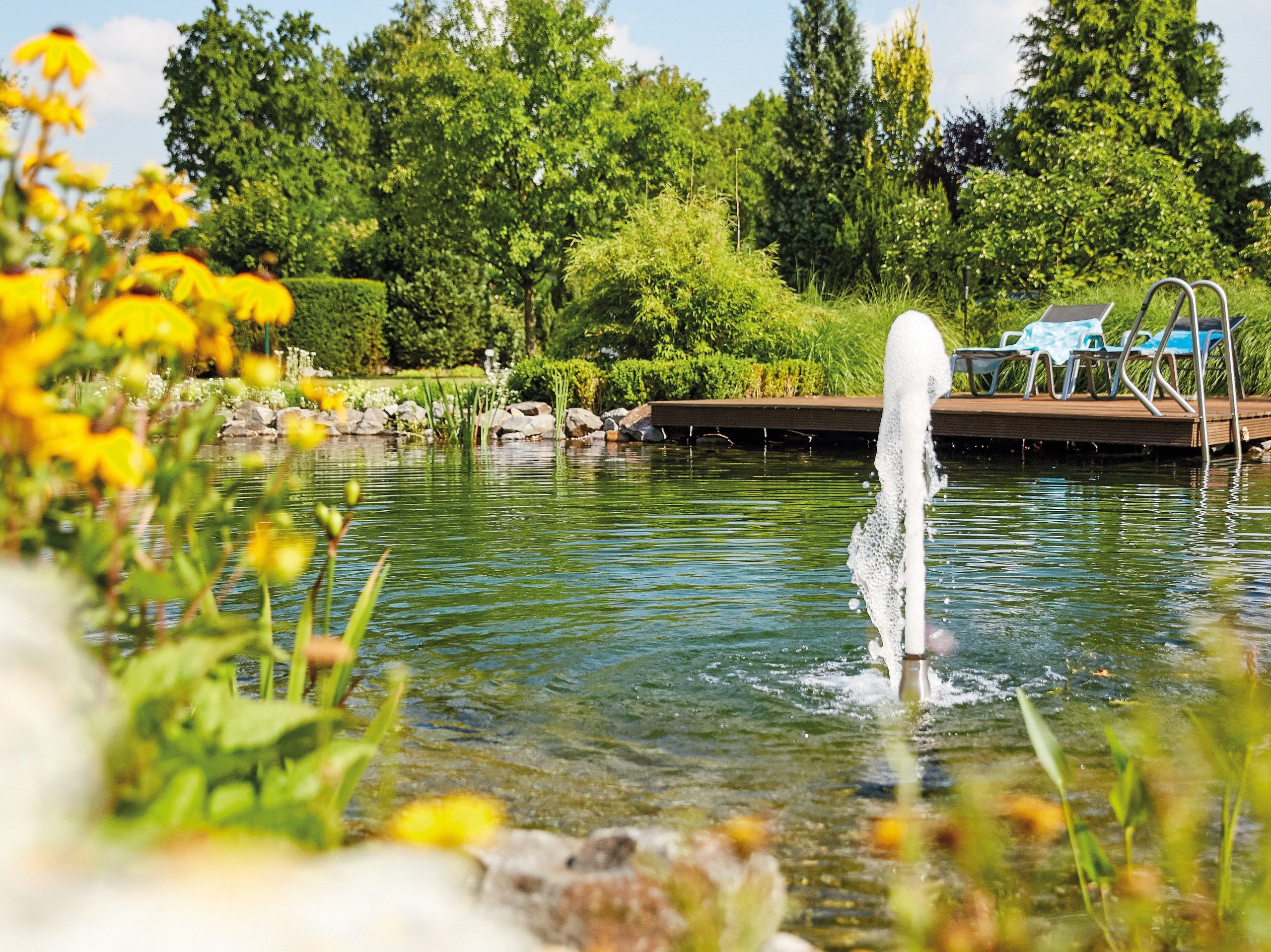 bassin de baignade piscine naturelle plate lagune terrasse en bois