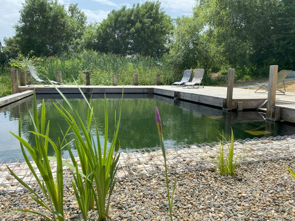 bassin de baignade piscine naturelle plate lagune terrasse en bois AUCH