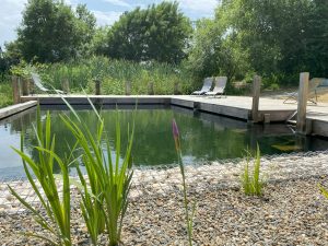 bassin de baignade piscine naturelle plate lagune terrasse en bois AUCH